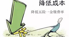 发改委专家：降低五险一金缴费率有助于拉动GDP增长