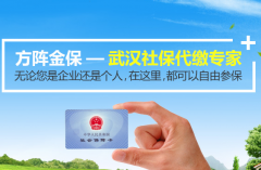 去哪找武汉社保代缴专业平台？