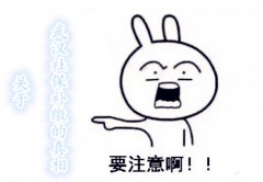 关于武汉社保补缴的真相