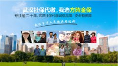 武汉社保代缴,如何网上办理!