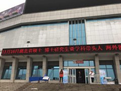 湖北省硕博双选会暨学科带头人海外留学人才专场招聘会，医疗卫生人才专场招