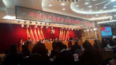 李士凌等七名党员参加中国共产党武昌区第十二次代表大会