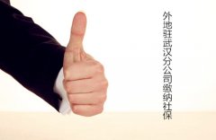 外地在汉分公司能缴武汉社保吗