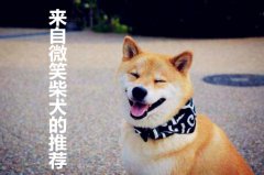 离职了 为您推荐一家武汉五险一金代办网站