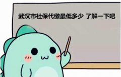 武汉市社保代缴最低多少 了解一下吧