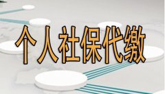 武汉代缴个人社保的公司