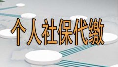 武汉哪家公司代缴社保好？讲的好不如实地考察