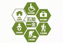 武汉的小伙伴们 社保公积金可以委托代缴吗