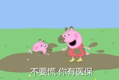 总公司不在武汉 自己找公司挂靠交社保