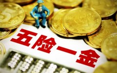 <b>方阵金保网：怎么办理第三方代缴社保公积金</b>