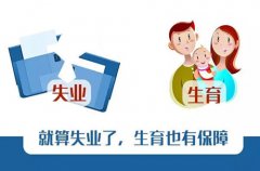 <b>方阵金保网：通过人力资源公司交社保该怎么办</b>