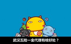 <b>方阵金保网告诉您武汉五险一金代理有啥好处</b>