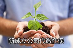 <b>方阵金保网：新成立公司代缴社保怎么办</b>