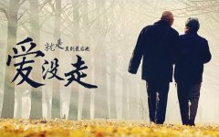 <b>方阵金保网，武汉本土社保代办平台值得信赖</b>