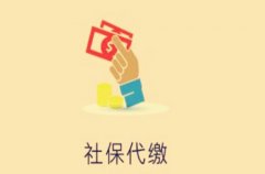 方阵金保网：武汉社保代缴金额