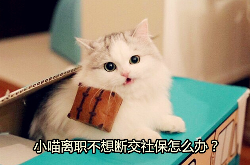 离职代缴社保