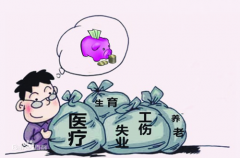 方阵金保网：专业社保代缴服务