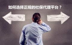 如何挑选正规的社保第三方代理平台
