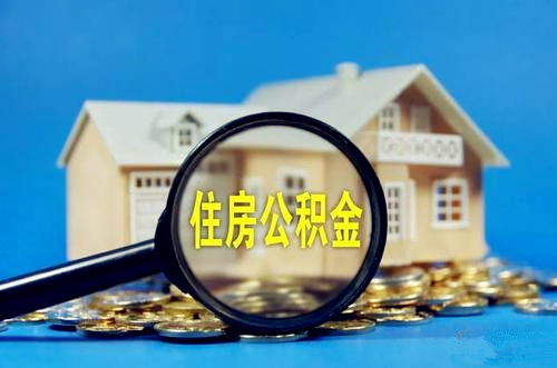 个人可以交公积金吗
