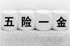 <b>自己如何交五险一金？小编告诉你</b>
