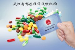 武汉有哪些社保代缴机构