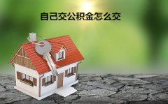 自己交公积金怎么交？需要找一家正规代缴机构