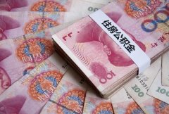 武汉公积金代缴中介首选方阵金保网！