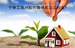个体工商户如何缴纳武汉公积金？