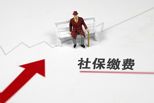 代缴社保公司怎么收费