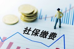 在武汉代缴社保公司怎么收费？