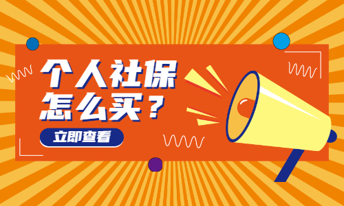 个人社保怎么买