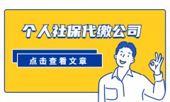 简单介绍：个人社保代缴公司