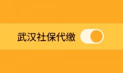 <b>武汉社保代缴哪家好？首选方阵金保网！</b>