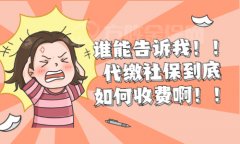<b>代缴社保如何收费？小编为您详细解答</b>