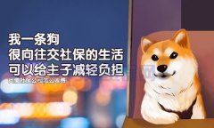 详细介绍：个人社保代缴公司怎么收费