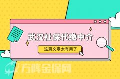 如何选择武汉社保代缴中介？