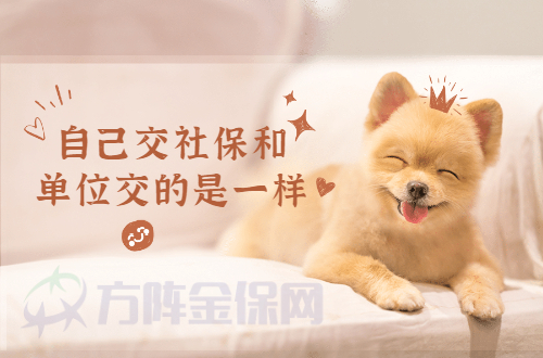 自己缴社保和单位交的一样吗