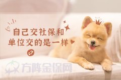 自己交社保和单位交的一样吗？看你如何选择