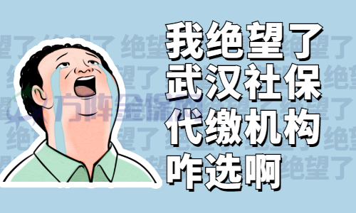 武汉社保代缴机构 武汉社保代缴机构