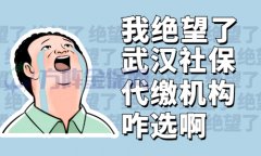 年轻人找武汉社保代缴机构自己交社保划算吗？
