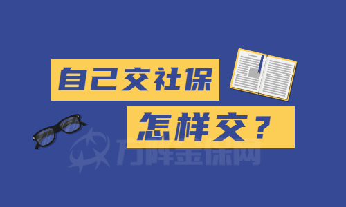 自己交社保怎样交