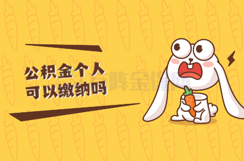 公积金个人可以缴纳吗