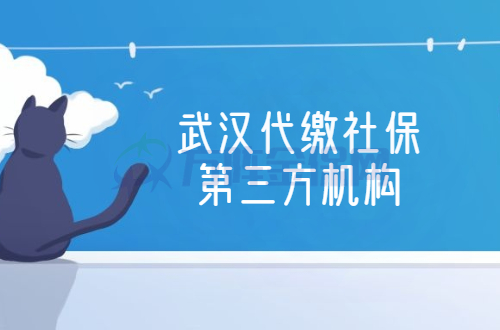武汉代缴社保第三方机构