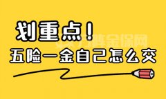 五险一金自己怎么交？这样操作和职工没有区别