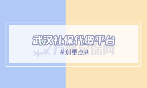 武汉社保代缴平台