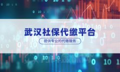 武汉好的社保代缴平台是怎样的