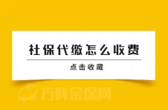 在武汉社保代缴怎么收费？