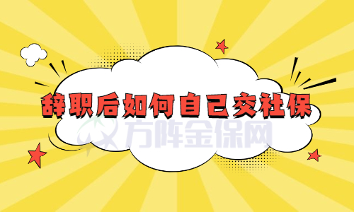 辞职后如何自己交社保