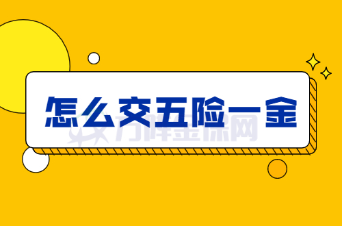 怎么交五险一金