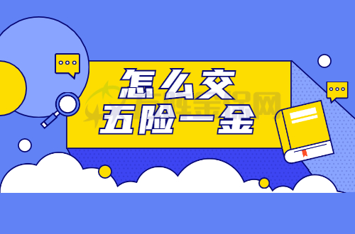 怎么交五险一金